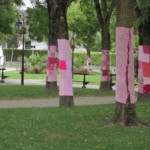 Ville de Saint-Apollinaire octobre rose