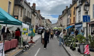 La rue Berbisey en fleurs pour la 2ᵉ édition du Marché aux plantes