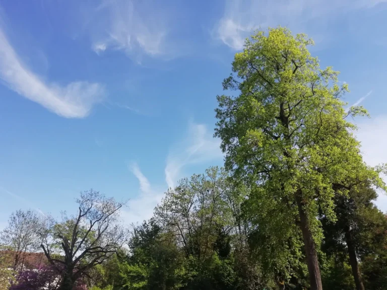 La chaleur persiste à Dijon, le temps pourrait tourner à l’orage dimanche