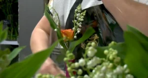 1er mai : vendre du muguet, une tradition tolérée… mais strictement encadrée