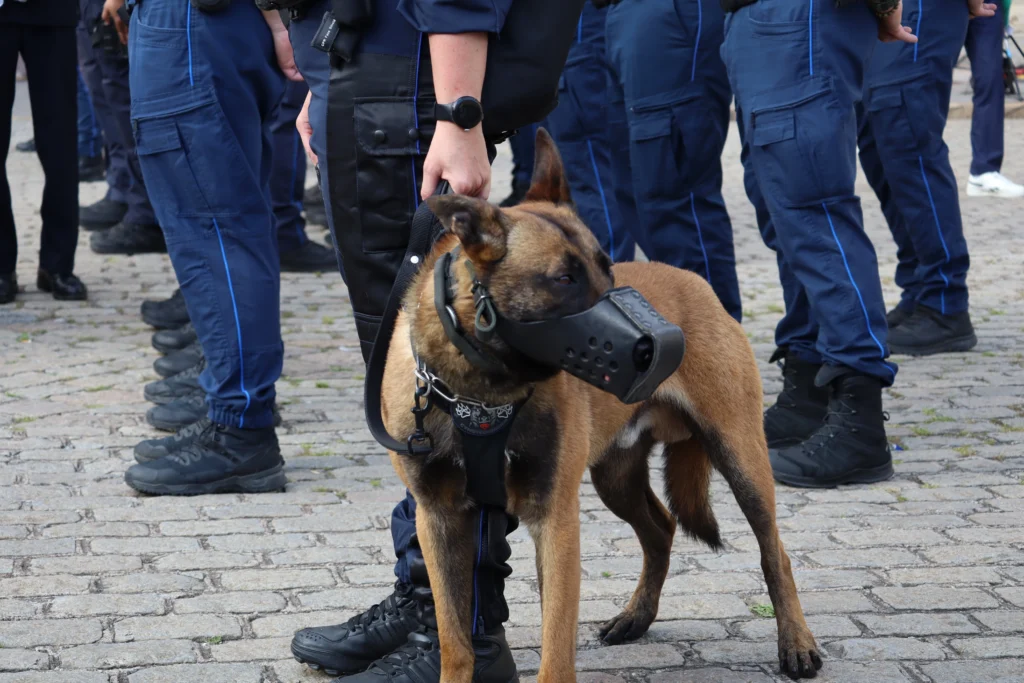 En images : Dijon célèbre un demi-siècle de Police municipale