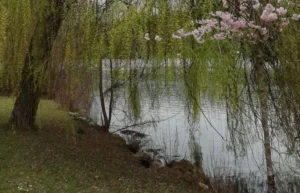 Météo : une semaine sous le signe des grosses chaleurs