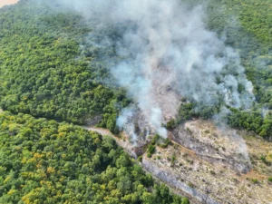 Feu de forêt entre Brochon et Gevrey-Chambertin : 45 sapeurs-pompiers mobilisés dans la Combe Lavault
