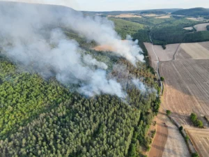Incendies en Côte-d’Or : les feux fixés, près de 28 hectares brûlés