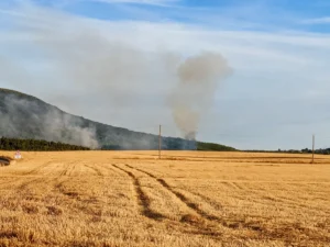 Côte-d’Or : cinq incendies mobilisent près de 200 sapeurs-pompiers