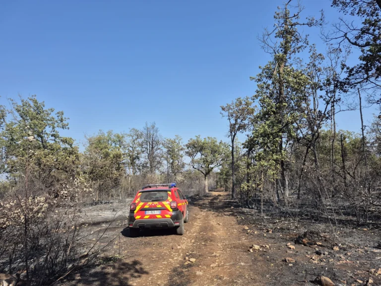 Incendie de Couchey : Thierry Falconnet réclame une réunion d’urgence pour protéger le plateau du Sud-Dijonnais