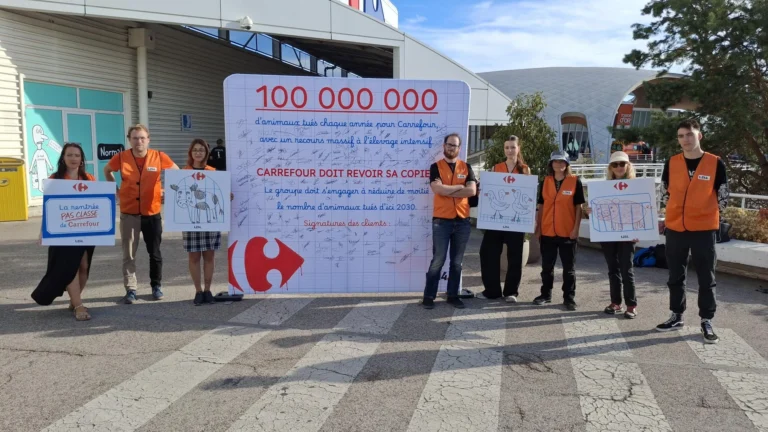 Dijon : L214 remet une « copie géante » à Carrefour pour réclamer 50 % d’animaux tués en moins d’ici 2030