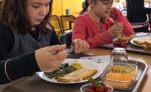 À Dijon, « Chouette Cantine » veut essaimer dans toute la France