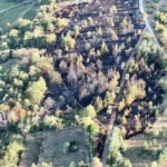 Nuits-Saint-Georges : quatre hectares de végétation brûlés dans un feu de forêt