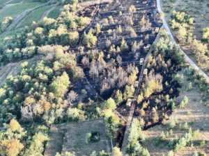 Nuits-Saint-Georges : quatre hectares de végétation brûlés dans un feu de forêt