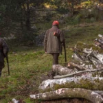 Dijon : une opération de chasse aux sangliers prévue le 3 novembre dans la Combe à la Serpent