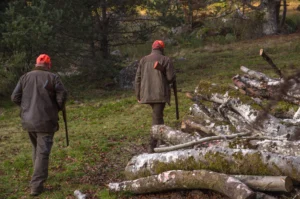 Dijon : une opération de chasse aux sangliers prévue le 3 novembre dans la Combe à la Serpent
