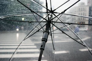 Météo : la pluie fait son retour ce mardi, une excellente nouvelle pour la Côte-d’Or qui manque cruellement d’eau